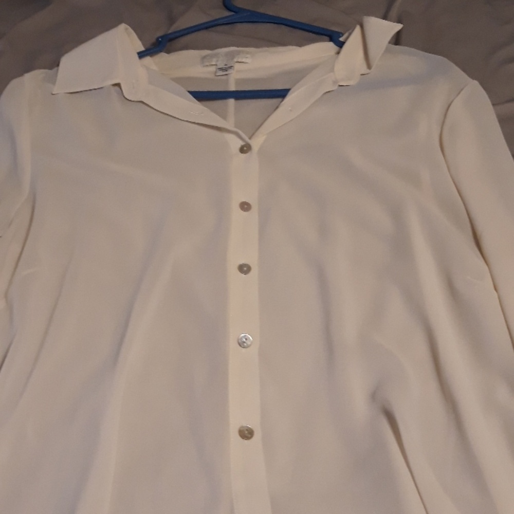 Cream colored, mesh button down, long sleeve dress